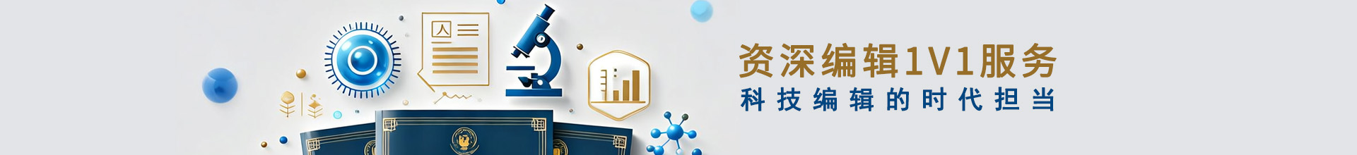 资深编辑1V1服务